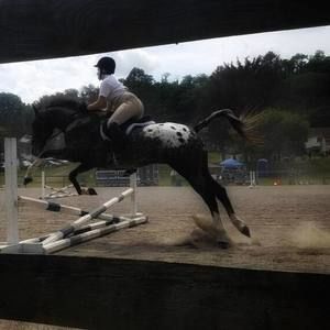 Meet your Posher, Danielle